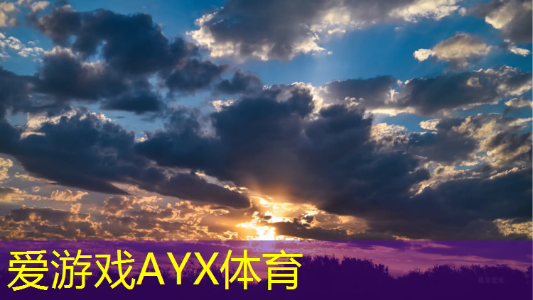 爱游戏ayx,塑胶跑道项目划分