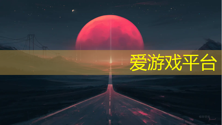 爱游戏ayx,双鹤湖塑胶跑道