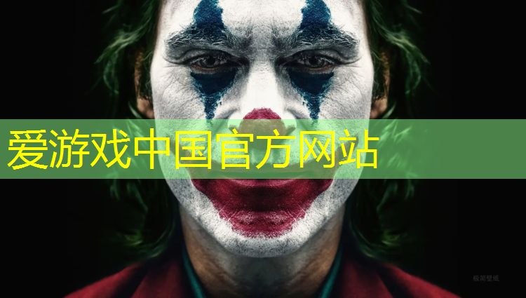 爱游戏平台,网球网子价格