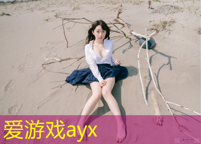 丰都网球网价格多少_